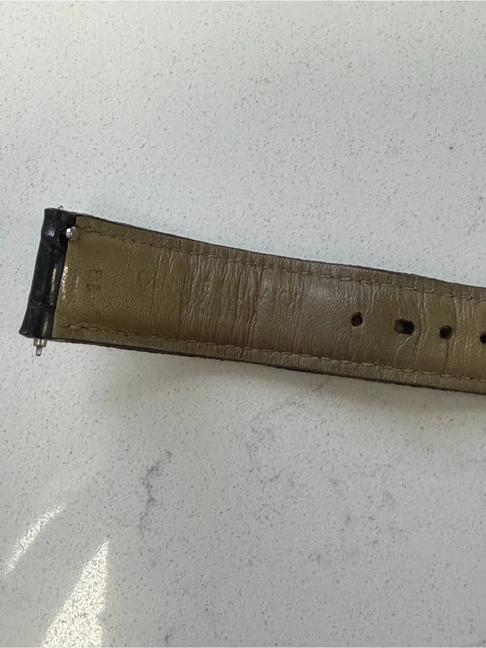 Black Black Genuine Alligator Watch Strap with Silver Buckle Size 18